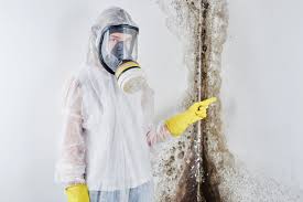 Mold Remediation for Vacation Homes in Twinsburg Heights, OH